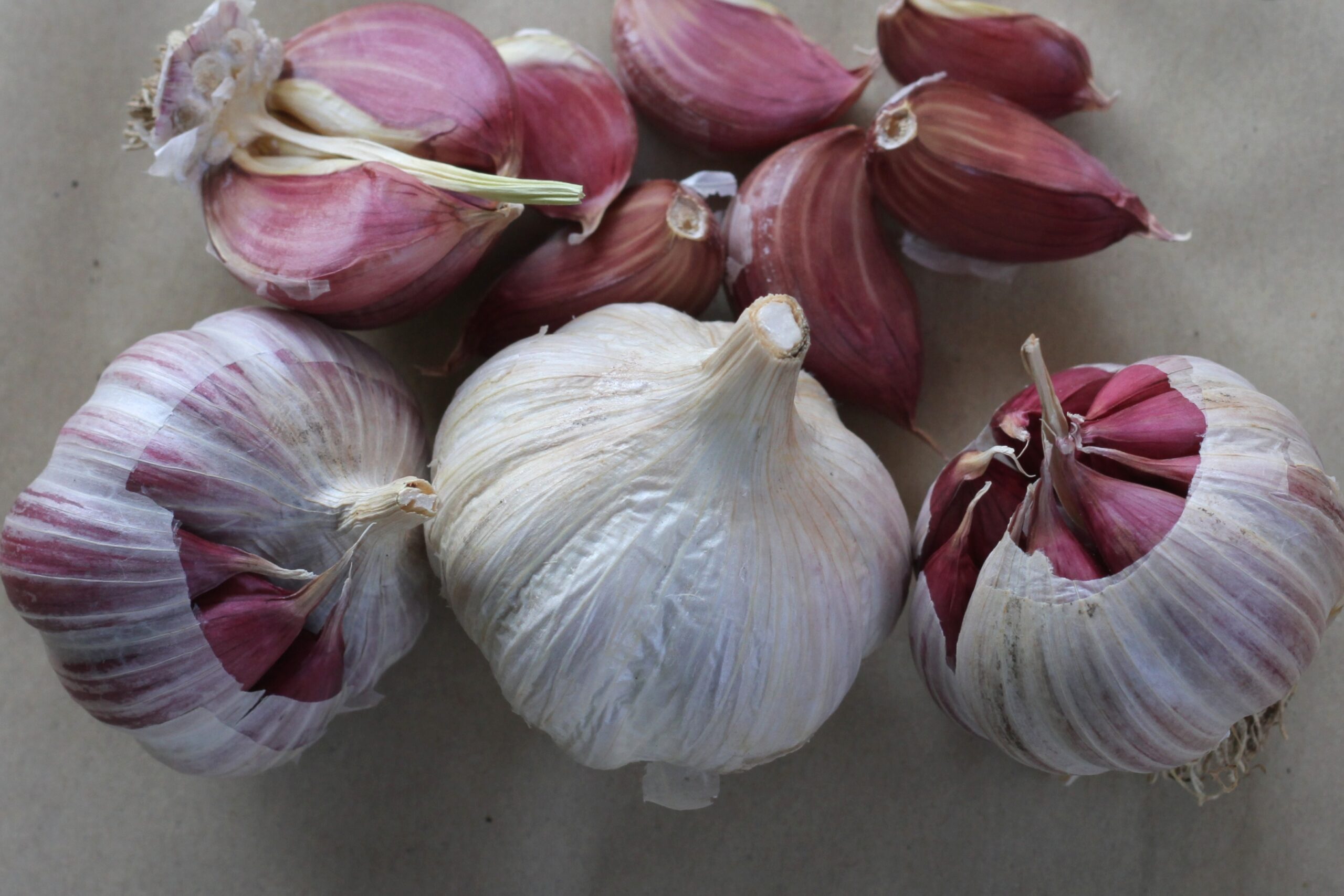 Storing garlic